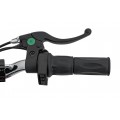 Motor RENEGADE 50R-E vehicle Green