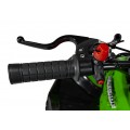 RENEGADE 49CC Gas Powered Vehicles Green
