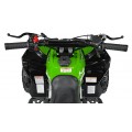 RENEGADE 49CC Gas Powered Vehicles Green