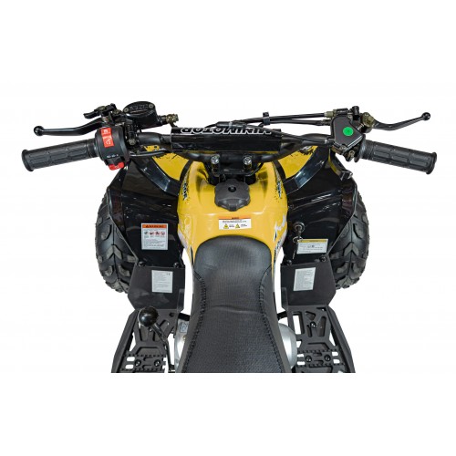 RENEGADE 110CC Gas Powered Vehicles Yellow