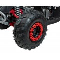 RENEGADE  110CC Gas Powered Vehicles Red