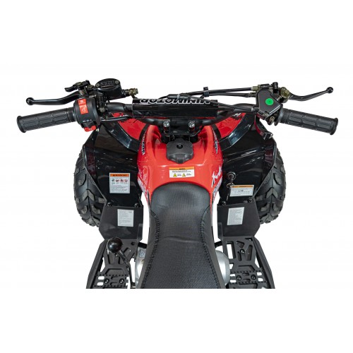 RENEGADE  110CC Gas Powered Vehicles Red