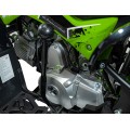 RENEGADE 110CC Gas Powered Vehicles Green