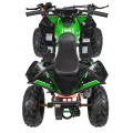 RENEGADE 110CC Gas Powered Vehicles Green