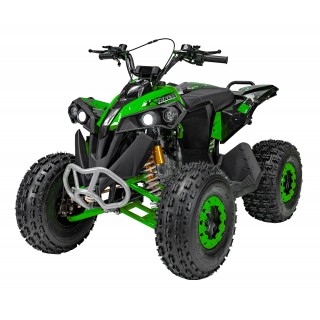 RENEGADE HIPERFECT 125CC Gas Powered Vehicles Green
