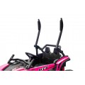 Vehicle Buggy 4x4 KCK Pink