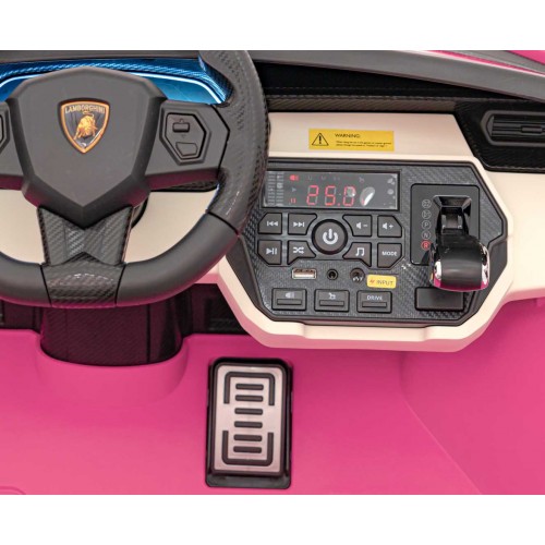 Lamborghini SIAN vehicle Pink