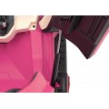 Lamborghini SIAN vehicle Pink