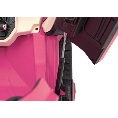 Lamborghini SIAN vehicle Pink