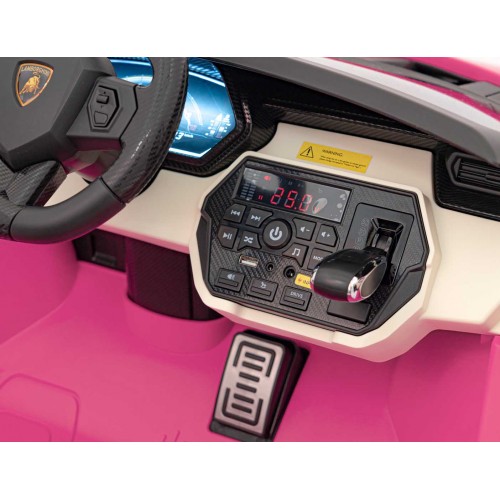 Lamborghini SIAN vehicle Pink