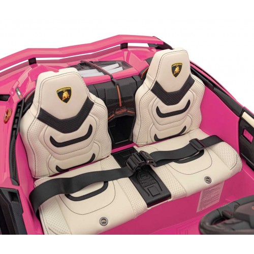 Lamborghini SIAN vehicle Pink