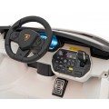 Lamborghini SIAN vehicle White