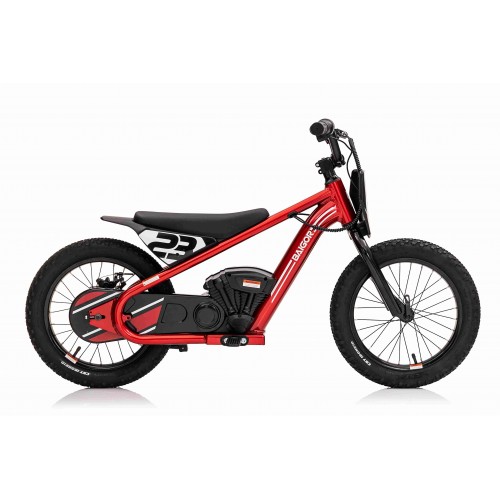 Motor BAIGOR 23 PRO Red