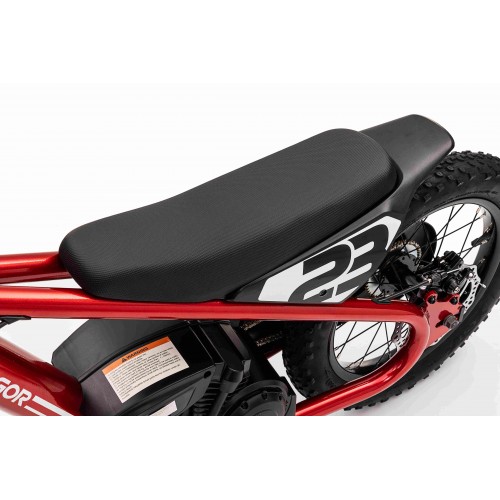 Motor BAIGOR 23 PRO Red