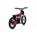 Motor BAIGOR 23 PRO Pink