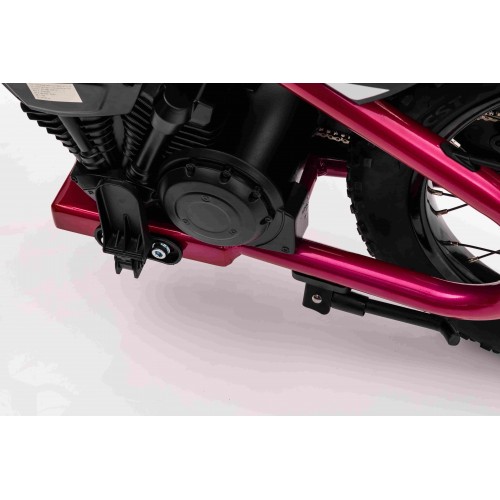 Motor BAIGOR 23 PRO Pink