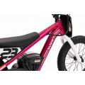 Motor BAIGOR 23 PRO Pink