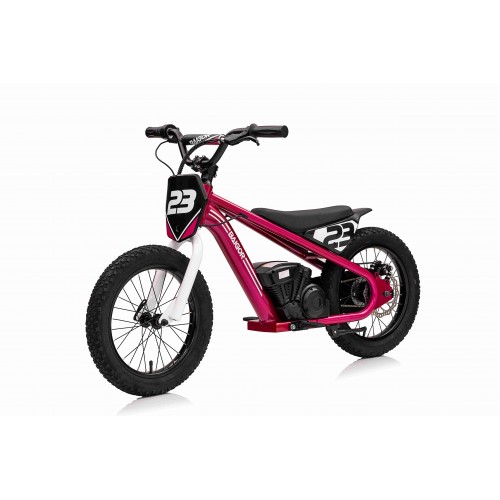 Motor BAIGOR 23 PRO Pink