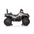 Quad Can Am Outlander ATV with Remote Control Gray