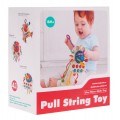 Multifunctional Toy for the Youngest