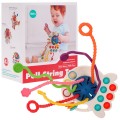 Multifunctional Toy for the Youngest