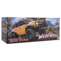 WILDERNESS R/C 1:10 car