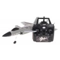 RAPTOR-J20 R/C fighter plane