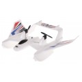 HYDROPLAN R/C plane