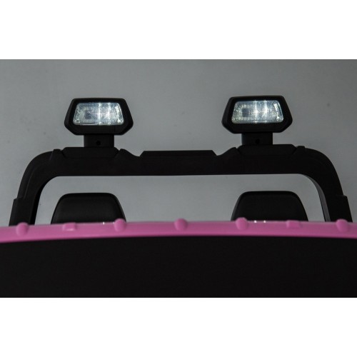 RAM 3500 Pink Vehicle