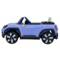 Mini Concept Aceman vehicle Purple