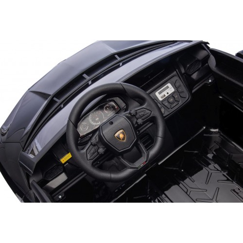 Vehicle Lamborghini Revuelto XL STRONG Black