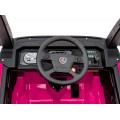 Scania R-SERIE vehicle Pink