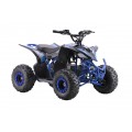 Quad Vehicle DESERT STORM LIFT Blue