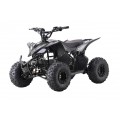 Quad Vehicle DESERT STORM LIFT Black