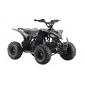 Quad Vehicle DESERT STORM LIFT Black