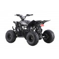 Quad Vehicle DESERT STORM LIFT Black