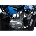 RENEGADE 110CC Blue Quad Bike