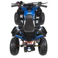 RENEGADE 110CC Blue Quad Bike