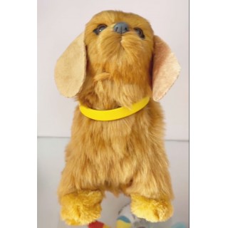 Beige Dog