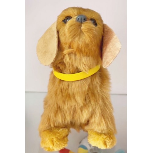 Beige Dog