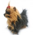 Black and Beige Dog
