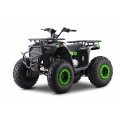 Quad Bike Petrol 200CC MONSTER Green