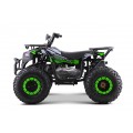 Quad Bike Petrol 200CC MONSTER Green
