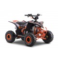 DESERT STORM LIFT Orange Quad Vehicle