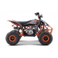 DESERT STORM LIFT Orange Quad Vehicle