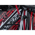 125CC DISCOVERER Red Petrol Quad Bike