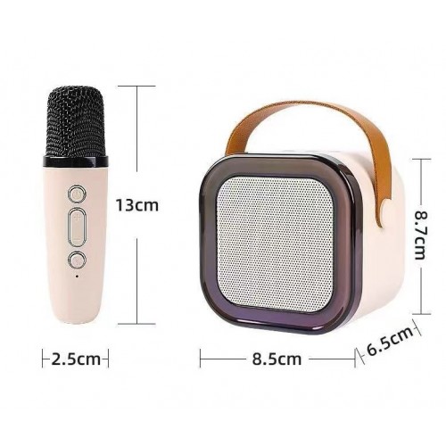 Karaoke Microphone and Speaker Set