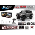Car R/C WILDERNESS 1:10 Gray