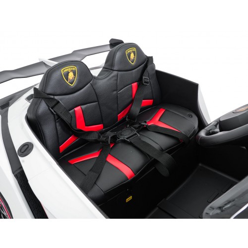 Vehicle Lamborghini Veneno White