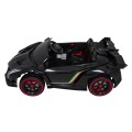 Vehicle Lamborghini Veneno Black